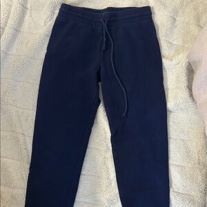 Aritzia Navy Blue Jogger Pants